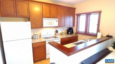 431 3 Ridges, Wintergreen Resort, VA 22967 - photo 6