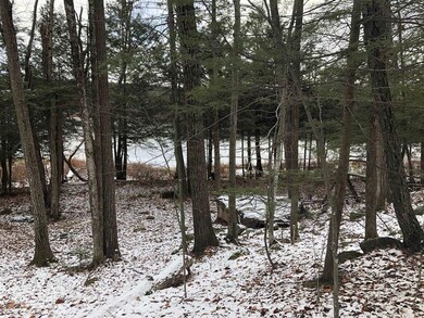 0 White Birch Rd unit 4892348, Henniker, NH 03242 - photo 3