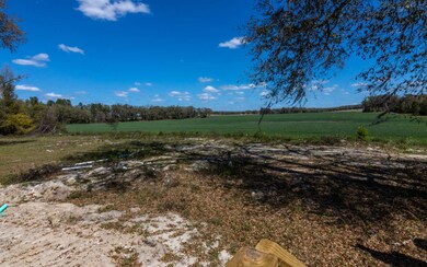 6567 SW Tustenuggee Ave, Lake City, FL 32024 - photo 4