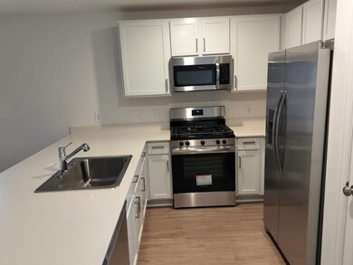 338 Birch Blossom Path, Magnolia, TX 77354 - photo 5