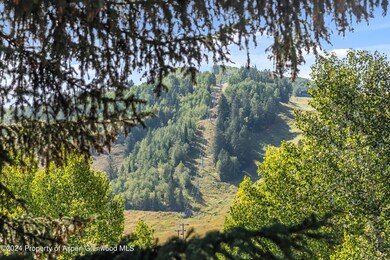 Aspen Mountain View