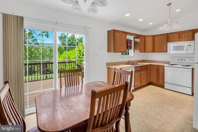 1385 Country Brook Rd, Toms Brook, VA 22660 - photo 5