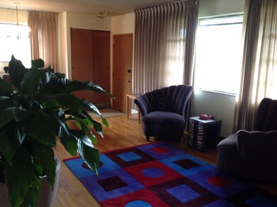 Expansive Windows