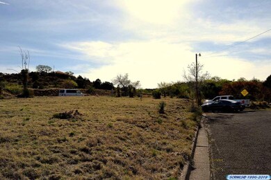 xx W Howell St, Silver City, NM 88061 - photo 4