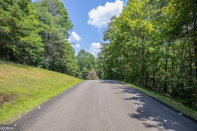 Lot 103R Mountain Creek Hollow Dr, Talking Rock, GA 30175 - photo 3