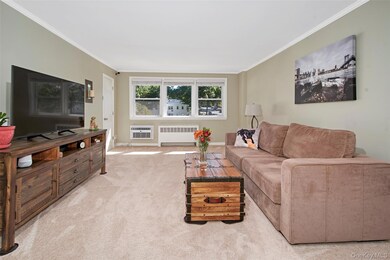 27 Avon Cir unit C, Rye Brook, NY 10573 - photo 4