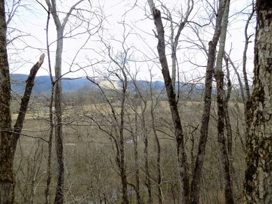 View from Bluff Rd