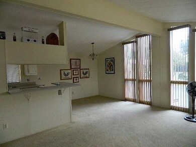 More floor to ceiling windows and open kitchen to 