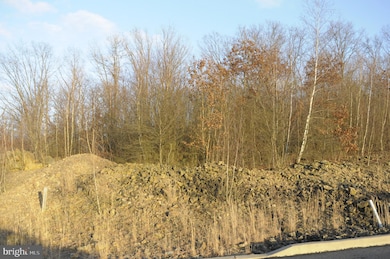 Lot 30 Elmwood Ct, Saint Clair, PA 17970 - photo 2