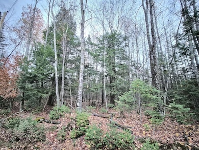 20251023_173834_result