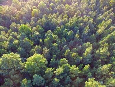 8.943 Chula Rd, Amelia, VA 23002 - photo 5