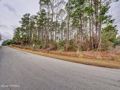View looking South at Property