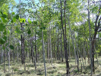 579 Old Squaw Rd, Como, CO 80432 - photo 2