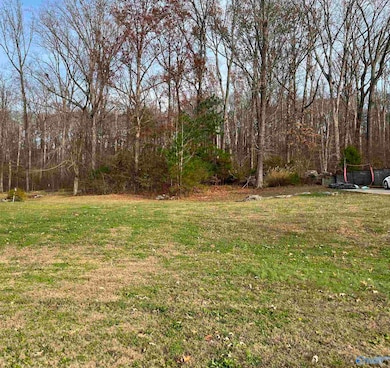 105 Amber Way, Priceville, AL 35603 - photo 3