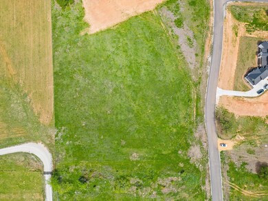 158 Hansma Way, Weatherford, TX 76087 - photo 5