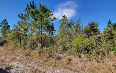 0 County Line & Prine unit 123987, Lee, FL 32059 - photo 4