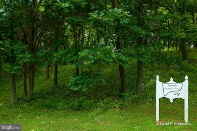 Lot #2 Shepherds Cove Swift River, Shepherdstown, WV 25443 - photo 7