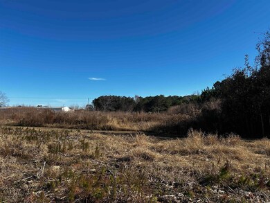 1.70 Acres-TBD State Road S-26-140, Loris, SC 29569 - photo 7