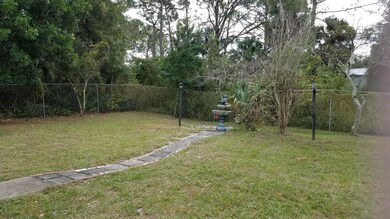 Back yard