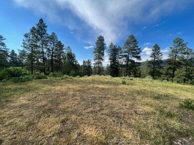 TBD Log Ridge Trail, Chama, NM 87520 - photo 5