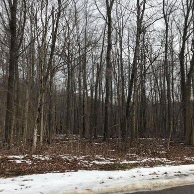 0 Kingsway Cir unit 175 & 176 218002276, Howard Township, OH 43028 - photo 3