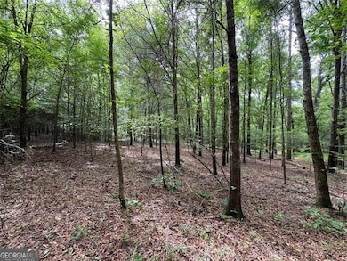 0 Saffold Rd unit 10560494, Buckhead, GA 30625 - photo 3