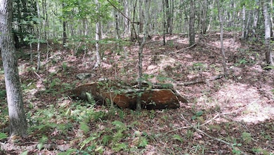 Lot 20 Airport Rd (Pca), Rockwood, TN 37854 - photo 6