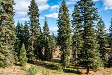 459 Osprey View Dr unit 90, McCall, ID 83638 - photo 3