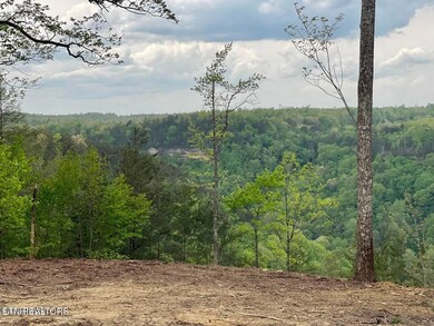 Bluff Views