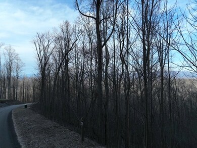 279 Andes Ridge, Ellijay, GA 30536 - photo 4