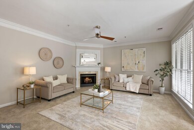 1724 Kingsgate Ct unit 302, Alexandria, VA 22302 - photo 4