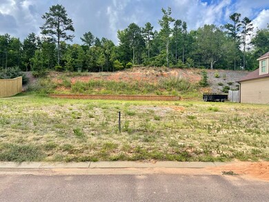 905 Tuscan View, Oxford, MS 38655 - photo 3