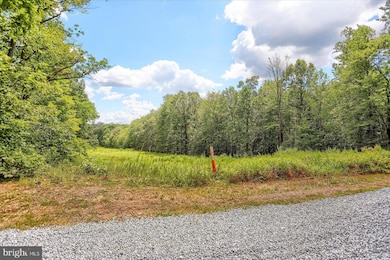 00 Pheasant Rd, West Hanover Township, PA 17112 - photo 3