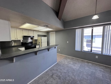 9209 N 59th Ave unit 206, Glendale, AZ 85302 - photo 5