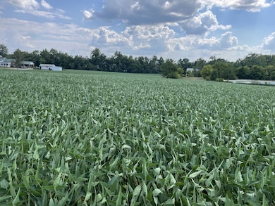 0 Main St N, Elkton, KY 42220 - photo 4