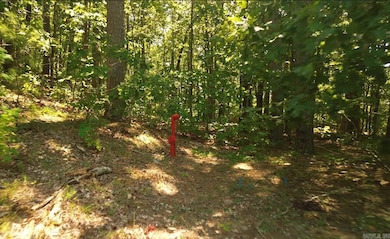 169 Brook Ln, Bee Branch, AR 72058 - photo 4