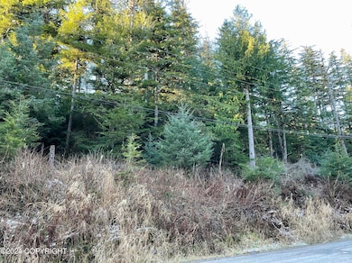 L9 B5 Beach Rd, Whale Pass, AK 99921 - photo 2