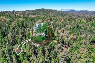 825 Cottage Grove Rd, Lake Arrowhead, CA 92352 - photo 2