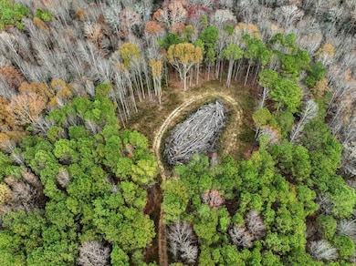 0 County Road 1506, Cullman, AL 35058 - photo 3