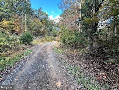 Lot 6 Deep Run Hollow, Delray, WV 26801 - photo 3