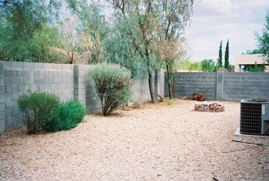 Spacious Backyard