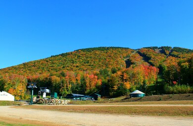 63 S Peak Rd unit PR 16, Lincoln, NH 03251 - photo 5