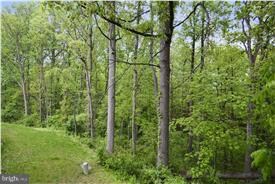 12505 Spring Harbor Place, Germantown, MD 20874 - photo 3