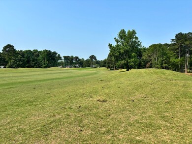 421 Pinelake Ct, Manning, SC 29102 - photo 7