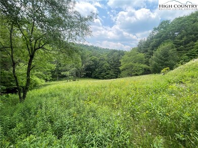 TBD Campbell Glen (5 03acres) Ln, Fleetwood, NC 28626 - photo 4