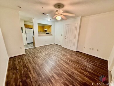 211 North Ave unit 1118, Athens, GA 30601 - photo 6