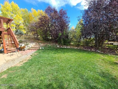 Back Yard Fall