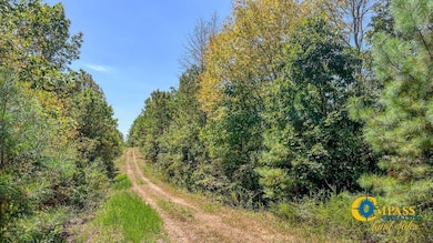 0 Hurricane Creek Rd, Stewart, TN 37175 - photo 2