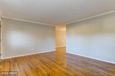 305 Glyndon Dr, Reisterstown, MD 21136 - photo 5