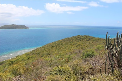 250 Zoni, Culebra, PR 00775 - photo 4